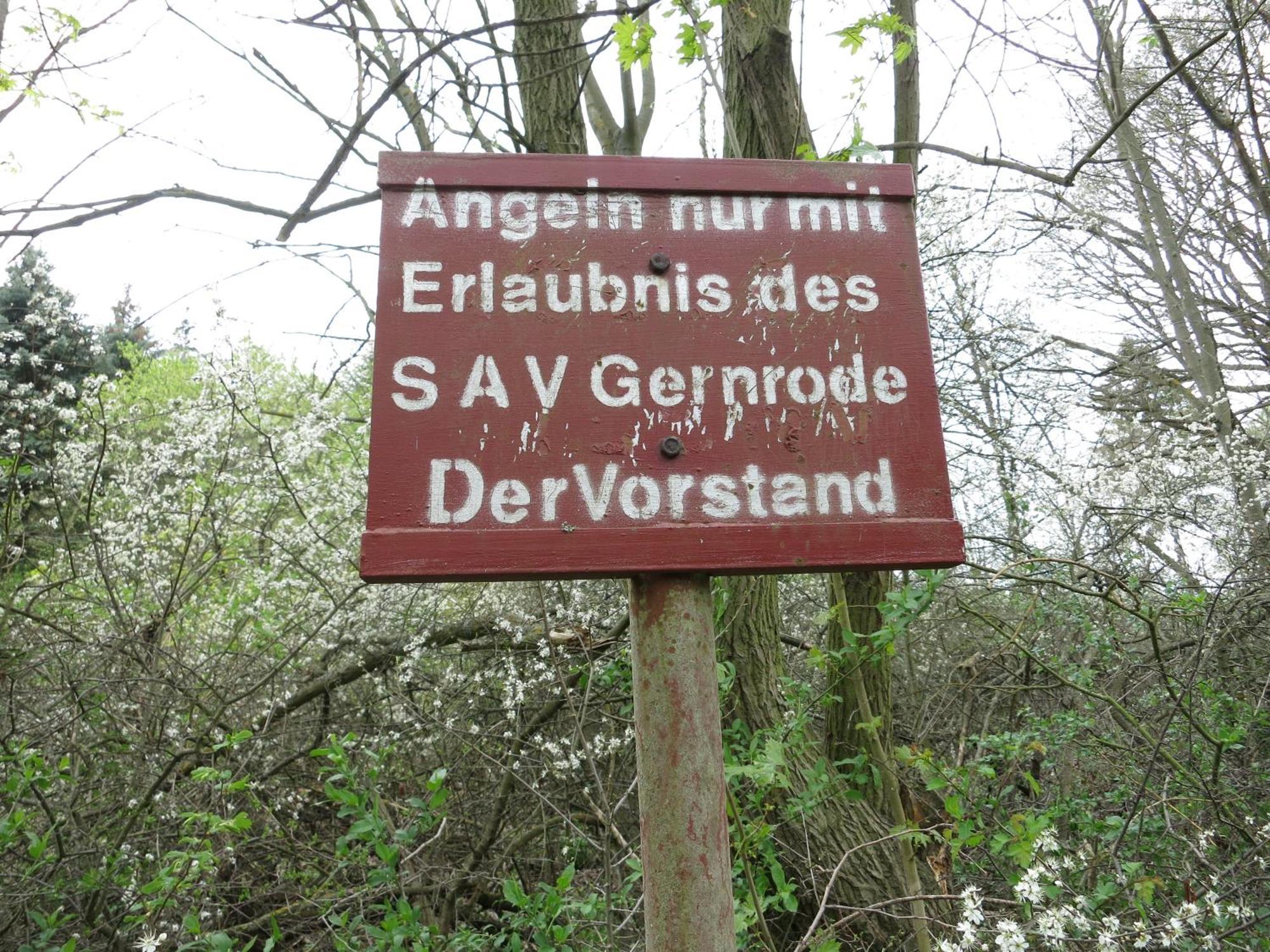 Bungalow Am Osterteich Gernrode  Dış mekan fotoğraf
